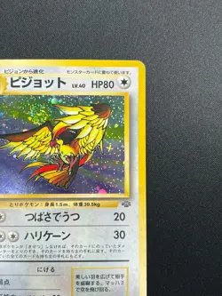 [NM] Pidgeot Pokemon Card Japanese No.018 Jungle Set Vintage Holo 4M4 - Image 5