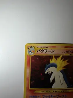 Pokemon Typhlosion Neo Genesis Premium File Japanese 157 - Image 4