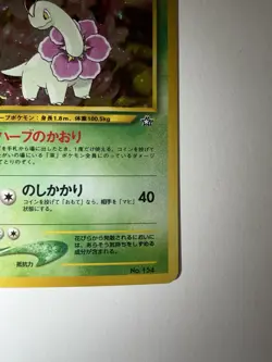 Pokemon TCG Neo Premium File 1 Meganium Japanese NM-LP - Image 5