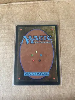 Equinox Legends Regular - Image 2