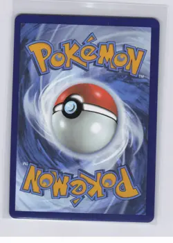 Litleo 139/132 Illustration Rare Pokemon ME01: Mega Evolution Full Art Holo NM - Image 2