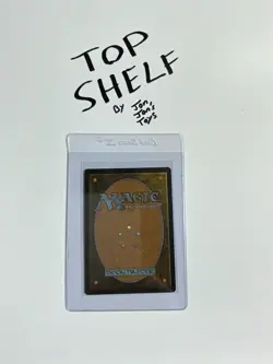 Forest (216) Unstable Foil MTG Top Shelf Mint - Image 2