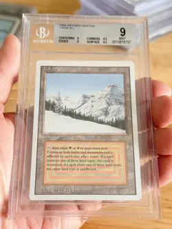 BGS 9 MAGIC THE GATHERING 1994 REVISED TAIGA DUAL LAND MTG 9 9.5 9 9.5 - Image 1