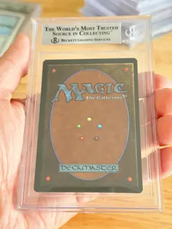 BGS 9 MAGIC THE GATHERING 1994 REVISED TAIGA DUAL LAND MTG 9 9.5 9 9.5 - Image 2