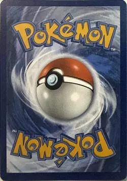 Crocalor 202/193 Illustration Rare Paldea Evolved Pokemon NM - Image 2