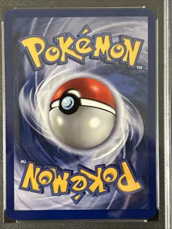 Pokemon Hypno 8/62 Fossil Holo (Fresh Grade) *PSA 8* - Image 3