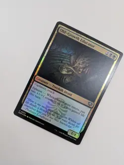 MTG - Old-Growth Educator (Foil) - Secrets of Strixhaven NM/M Condition - Image 2