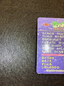 Pokemon Torchic Vs Lotad #019 from Topsun Advanced Generation in LP- condition! - Image 5