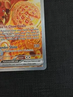 169/142 Dachsbun ex. Pokemon TCG : Stellar Crown. Free Aus Tracked Shipping - Image 5