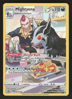 Mightyena TG09/TG30 Pokemon TCG Astral Radiance Trainer Gallery NM - Image 1