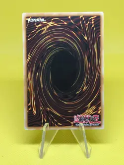 Yugioh - Garuda the Wind Spirit (SDDL-EN014) - Common 1st Edition - Image 2