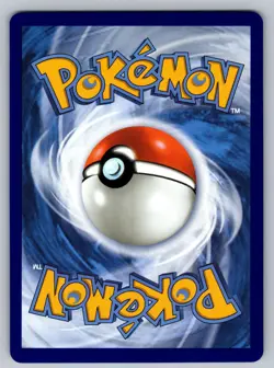 Mega Kangaskhan ex - 025 025 Holo Promo ME: Mega Evolution Promo Pokemon NM - Image 2