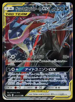 Greninja & Zoroark GX 072/173 Double Rare Tag All Stars Pokemon Japanese MP - Image 1