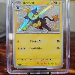 2023 Luxio 241/190 Shiny Treasure ex sv4a JAPANESE POKEMON CGC GEM MINT 10 - Image 3