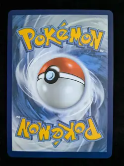 Pokemon 151 Blooming Waters Premium Collection - 5 Promo Cards & Jumbo Blastoise - Image 3