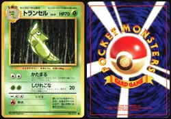 METAPOD NO. 011 BASE SET POKEMON JAPANESE COMMON 1996 MODERATELY PLAYED - Image 1
