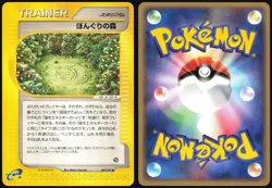 APRICORN FOREST 084/087 E SERIES WIND FROM THE SEA POKEMON JAPANESE TRAINER MP - Image 1
