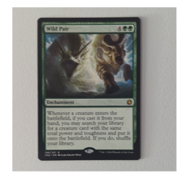 Wizards of the Coast Wild Pair Conflux 196/249 Rare Green Enchantment Regular - Image 1