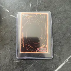 Yu-Gi-Oh! TCG: Light And Darkness Dragon Secret Rare RP02-EN095 - Image 2