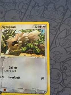 Pokemon: Zigzagoon #85/100 Sandstorm 2003 Non-holo Vintage E-Series - NM - I172 - Image 5