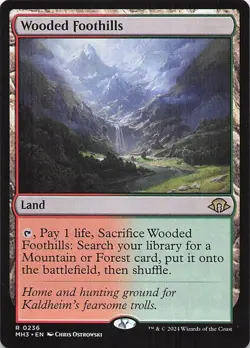 Wooded Foothills 236 R MH3 NM - Image 1
