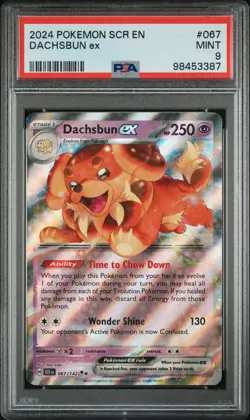 2024 POKEMON STELLAR CROWN SCR EN #67 DACHSBUN ex PSA 9 POP 11! - Image 1