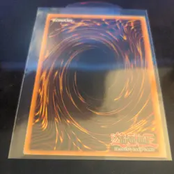 Black Rose Dragon QCR TN23-EN014 25th Anniversary Tin: Dueling Heroes Yugioh - Image 3
