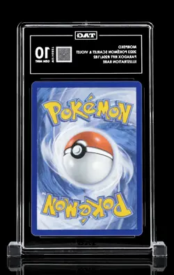 Morpeko Pokemon Paradox Rift #206/182 Illustration Rare TAG Graded 10 - Image 2