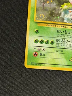 Erika's Venusaur NO. 003 Holo Rare Gym Challenge Pokemon Japanese SWIRL - Image 5