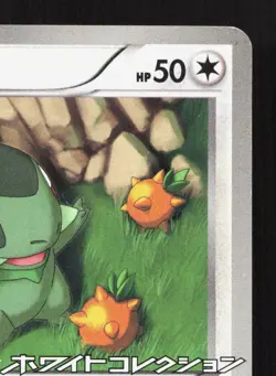 Axew 006/BW-P Enigma Egg MP Japanese Pokemon Card TCG - Image 3
