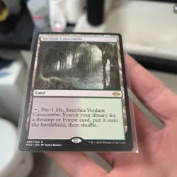 Verdant Catacombs Modern Horizons 2 Regular - Image 4