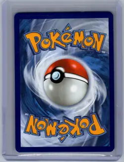 Zangoose ex 167/217 Double Rare Ascended Heroes Pokemon Holo Near Mint - Image 2