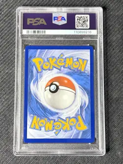 Pokemon TCG Raboot Stellar Crown Illustration Rare 147/142 PSA 10 Gem Mint - Image 3