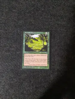 Summer Bloom Visions - Image 1