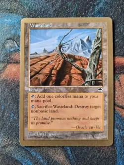 Magic the Gathering MTG - 1 x Gold Border Wasteland - Worlds Deck - Ex Cond - Image 1