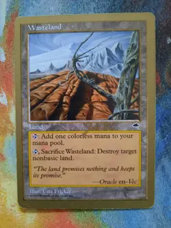 Magic the Gathering MTG - 1 x Wasteland Gold Border Champs Deck - LP Cond - Image 1