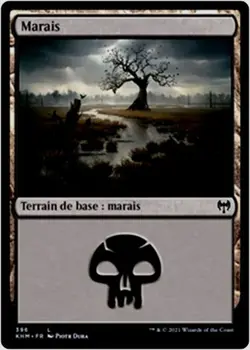 MTG Magic KHM FR FOIL - Swamp/Marais, #396 - Image 1