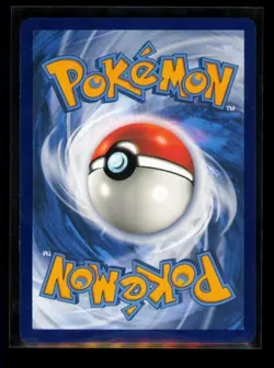 Pikachu - Holo Promo SWSH: Sword & Shield Promo Cards SWSH039 NM - Image 2