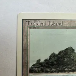 Tropical Island - MTG Revised Edition Rare Land English Jesper Myrfors - Image 4