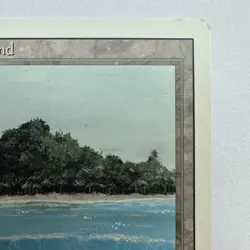 Tropical Island - MTG Revised Edition Rare Land English Jesper Myrfors - Image 5