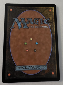Yavimaya, Cradle of Growth - Prerelease Cards - Magic the Gathering Card Single - Image 2