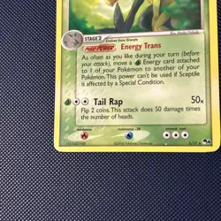 Pokemon Card Sceptile 5/17 Pop Series 4 Promo Non Holo Near Mint - Image 4