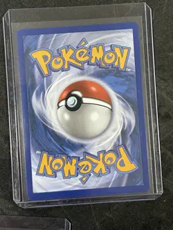 Pokemon TCG First Partner Illustration Collection Series 1 Alola Starters - Image 5