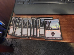Champions of Kamigawa MTG Foil 10 Swamp (#296) Magic - Image 1