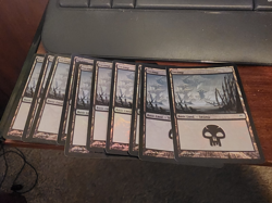 Champions of Kamigawa MTG Foil 10 Swamp (#295) Magic - Image 1