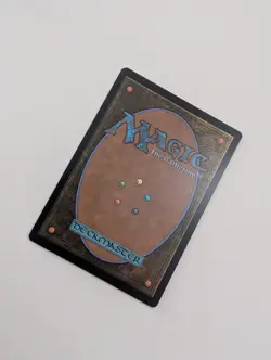 MTG - Forest 0271 - Secrets of Strixhaven NM/M Condition - Image 3
