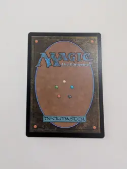 MTG - Forest 0271 - Secrets of Strixhaven NM/M Condition - Image 4