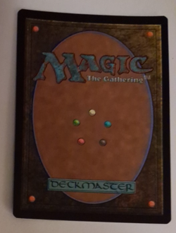 Totec's Spear Borderless Foil Shadowspear NM Secret Lair MTG Magic the Gathering - Image 2