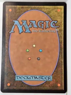 Forest - FOIL - 304 Chamions of Kamigawa - Magic the Gathering MTG Nice! - Image 2