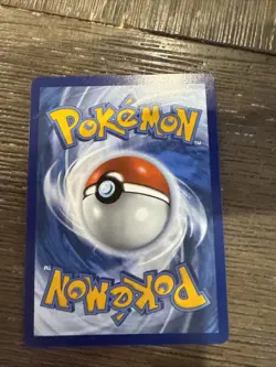 Phanpy Pokemon Card Headbutt Basic 080 HP in Protective Case - Image 2